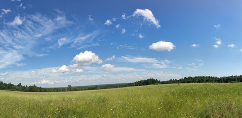 Green field under the clouds. On a sunny summer day, small cumulus clouds hang in the blue sky. Below them is a green field with tall grass and wildflowers. A forest is visible in the distance.