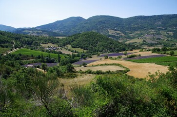 Landscape in the Baronnies in the South East of France, in Europe