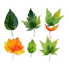 Fototapeta premium Leaves vector watercolor leaves leaf vector