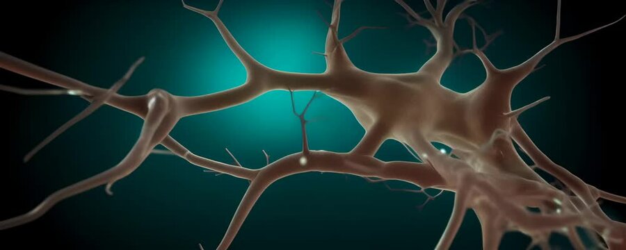 Neurons Firing in the Brain