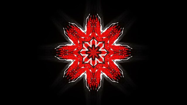 Geometric Windrose Flower Motion Background