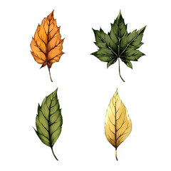 Flower vector watercolor flowers floral vector