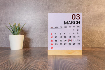 March 21 calendar date text on wooden blocks with blurred park background. Copy space and calendar concept.