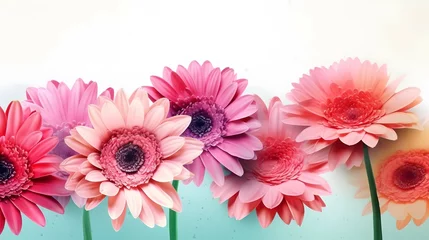 Fotobehang gerbera flowers concept designs suitable for etsy, shutterstock, adobestock, freepick marketplace. © wallow