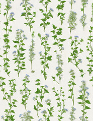Repeating seamless floral pattern of various green and purple flowers and plants