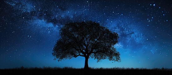 A tree stands in the middle of a field under a beautiful night sky filled with stars.