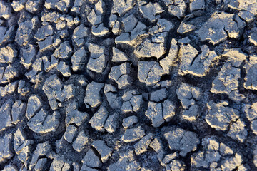 Cracked ground pattern in the desert, La Pampa, Argentina