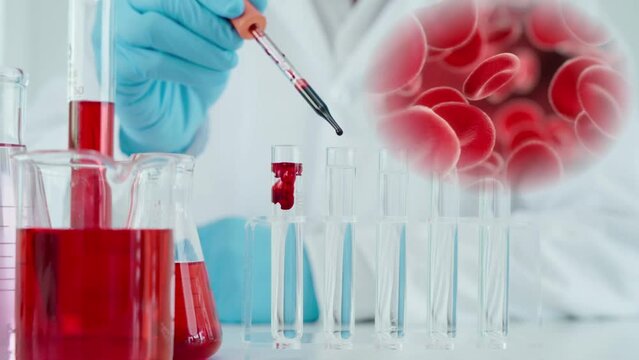 Científico haciendo análisis de sangre, poniendo las muestras con su pipeta en los tubos edta. El video muestra los globulos rojos que fluyen.