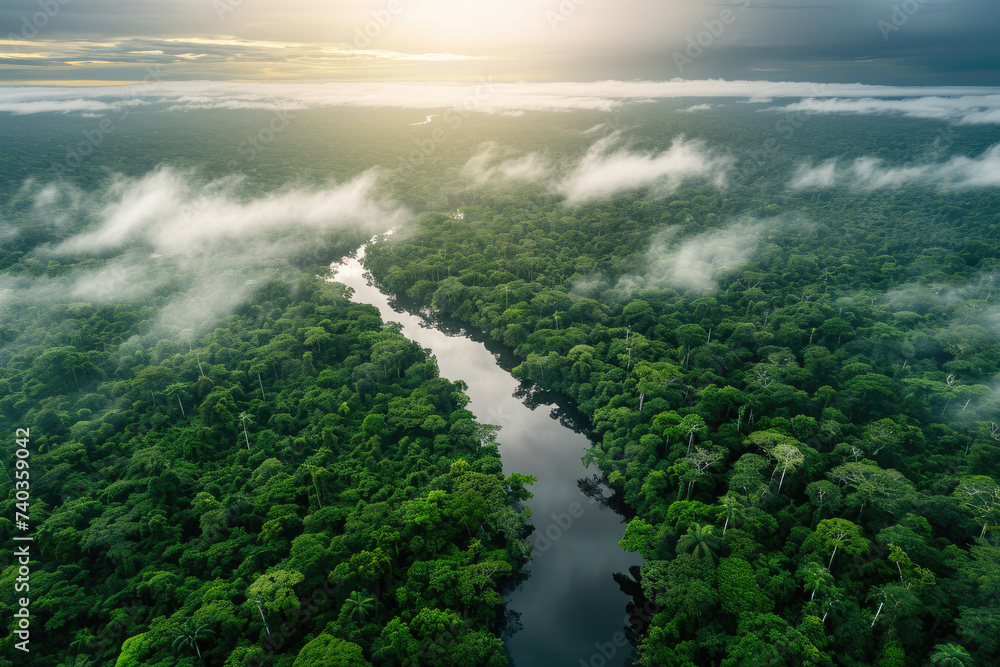 Wall mural amazon aerial symphony: a mesmerizing view over the vast amazon rainforest, unveiling the rich biodi - Wall murals