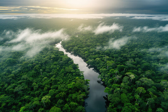 Amazon Aerial Symphony: A Mesmerizing View Over the Vast Amazon Rainforest, Unveiling the Rich Biodiversity of Brazil, Peru, Colombia, and Other Amazonia Countries
