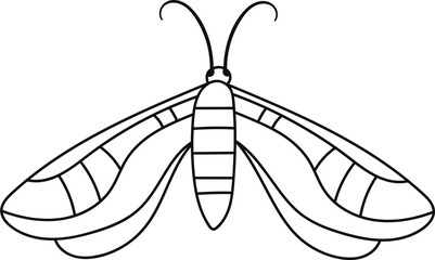 Butterfly Insect Lined