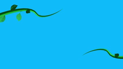 Jungle vines animation growing elements on blue screen chroma key