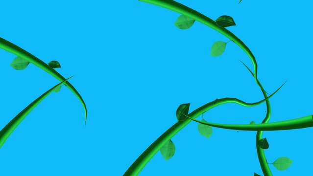 Jungle vines animation growing elements on blue screen chroma key