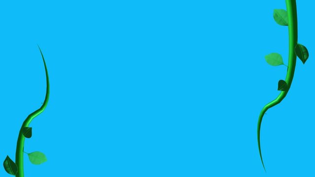 Jungle vines animation growing elements on blue screen chroma key