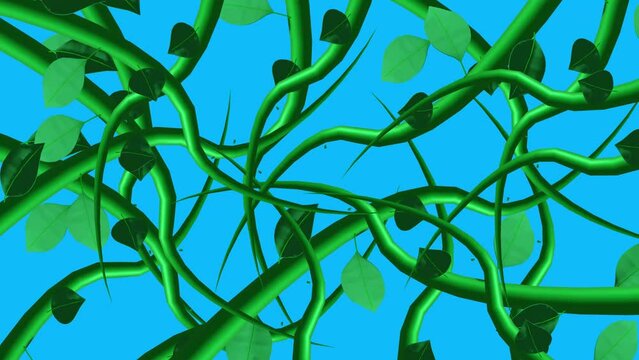 Jungle vines animation growing elements on blue screen chroma key