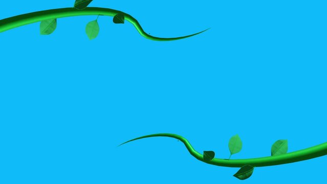 Jungle vines animation growing elements on blue screen chroma key