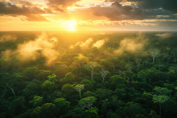 Fototapeta na wymiar Amazon Aerial Symphony: A Mesmerizing Sunset Over the Vast Amazon Rainforest, Unveiling the Rich Biodiversity of Brazil, Peru, Colombia, and Other Amazonia Countries