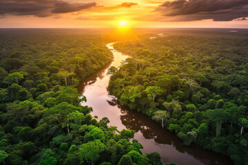 Amazon Aerial Symphony: A Mesmerizing Sunset Over the Vast Amazon Rainforest, Unveiling the Rich Biodiversity of Brazil, Peru, Colombia, and Other Amazonia Countries - obrazy, fototapety, plakaty