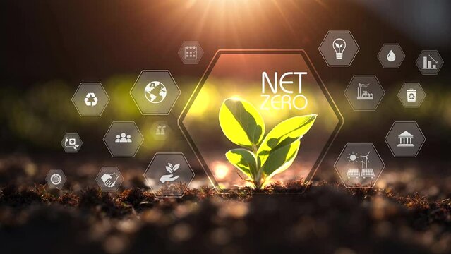 Net zero , carbon neutral concept. Net zero greenhouse gas emissions target 2050. Climate neutral long term strategy 2050 with green net zero icons on green young plant background. Generative AI