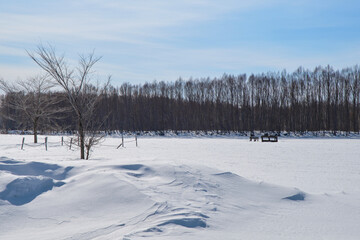 The mountain Russian river Khor in winter. Snow on the shore. A rapid flow of icy water.