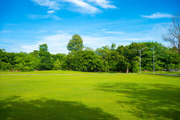 Green meadow grass field in city forest park sunny day blue sky with cloud - 740365216