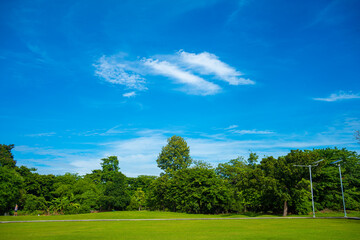 Green meadow grass field in city forest park sunny day blue sky with cloud - 740365444