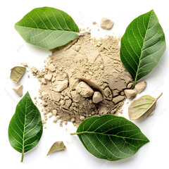 Kava Kava powder with leaves on a white background  - obrazy, fototapety, plakaty