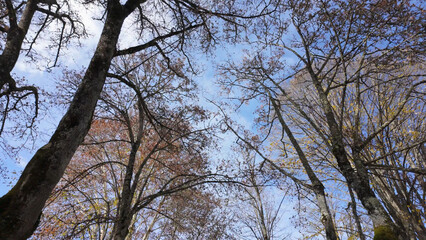 Hiker's point of view along the Parque Termal de Pedras Salgadas