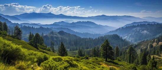 Majestic mountain range landscape with serene trees and distant peaks