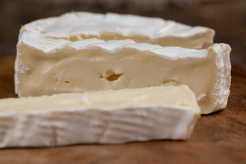 soft processed cheese with white mold on the table