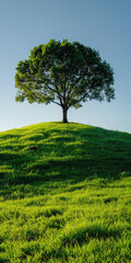 Fototapeta na wymiar A lone tree on a grassy hill 