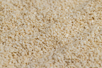 used in cooking sesame seeds