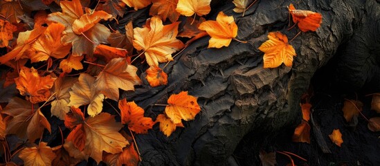 A captivating image of a tree trunk covered in fallen leaves as they gracefully cascade to the ground.