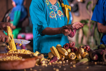 The strong hands of a Latin woman open the corn husks and then extract the corn.