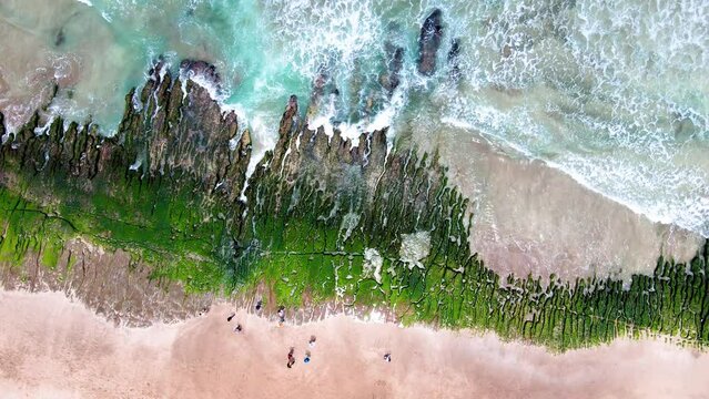 Laomei Green Reef, volcanic rocks with seasonal algae in Shimen District, New Taipei City, Taiwan