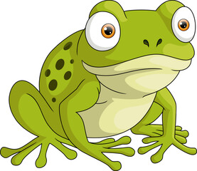 Cute frog cartoon on white background