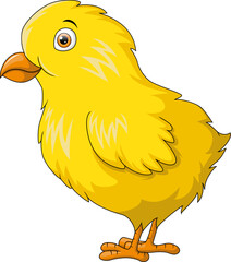Cute little chick cartoon on white background