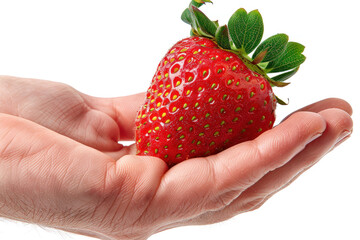 Obraz premium Hand holding strawberry isolated on gray background, healthy fruit food