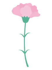 母の日のカーネーションの花のベクターイラスト