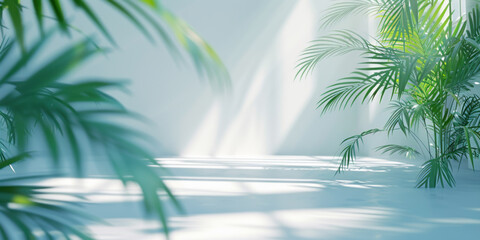 3d empty wall room space background with palm tree