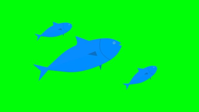 fish illustration on a green background