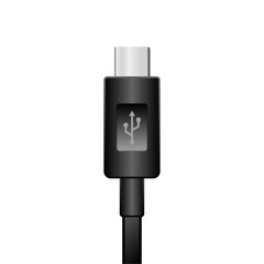 Fototapeta premium シンプルなイラスト_黒いUSB Type-C_オス