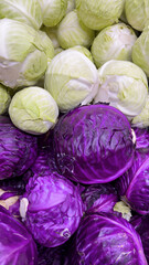Unique patterns of green and purple cabbages. Chromatic harmony, the vibrant meeting of two...