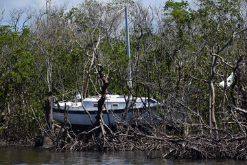 Hurricane Ian Damaged Back Bay Boats Fort Myers Beach Florida