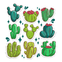 Cactus succulent plant collection set. hand draw illustration art