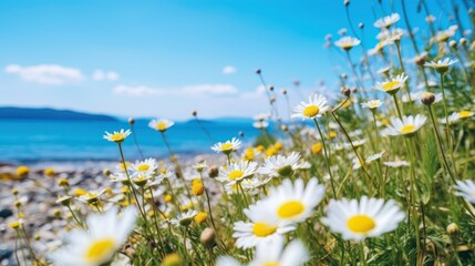 wild flower with blue sea and sky