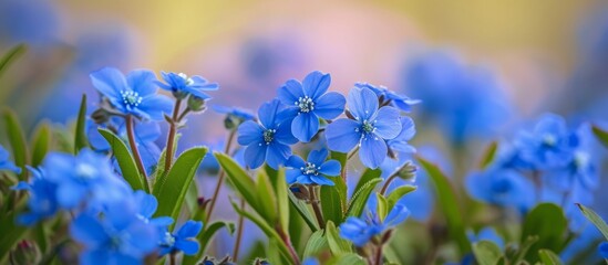 Fototapeta na wymiar Beautiful Blooms: Captivating Blue Flowers Adorning the Lush Garden Landscape