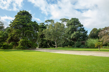 Background texture of a clean and beautiful formal garden with healthy and green grass lawn, dirt footpath and a variety of trees in the background. Copy space.