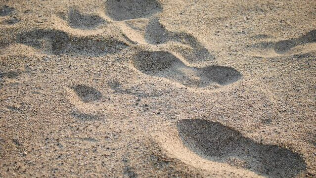 walking on sandy ocean beach leaving footprints at sunset, legs walking on sea beach bare foot after swimming at sunset, footprints on the sand