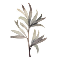 watercolor flowers Illustration flower arrangement or bouquet colorful spring flowers, Perfectly for Wedding with flowers, arrangements for greeting card or invitation design